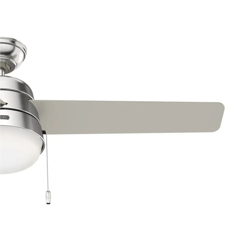 The Ceiling Fans by Hunter - Image 27