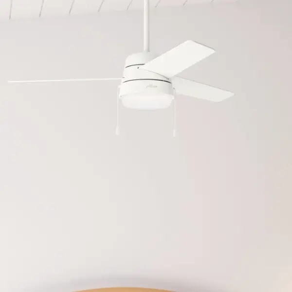 The Ceiling Fans by Hunter - Image 8