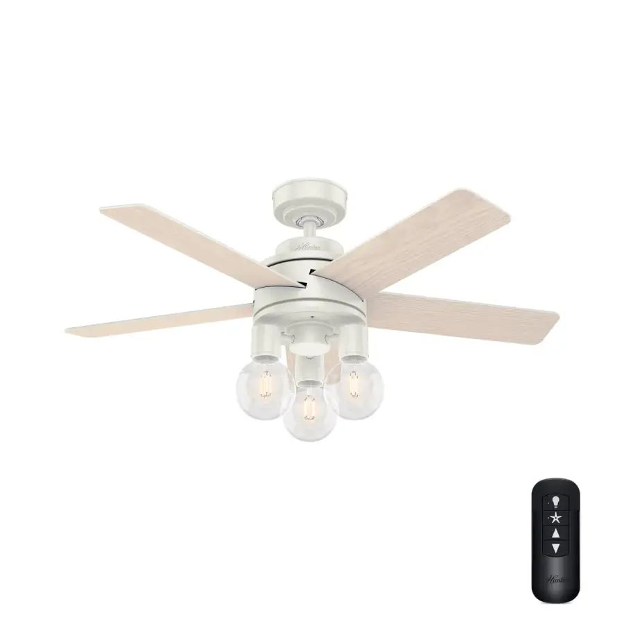 The Ceiling Fans by Hunter - Image 1