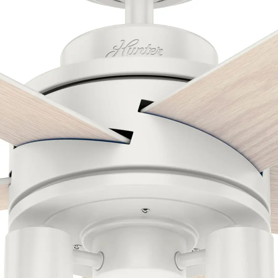 The Ceiling Fans by Hunter - Image 20
