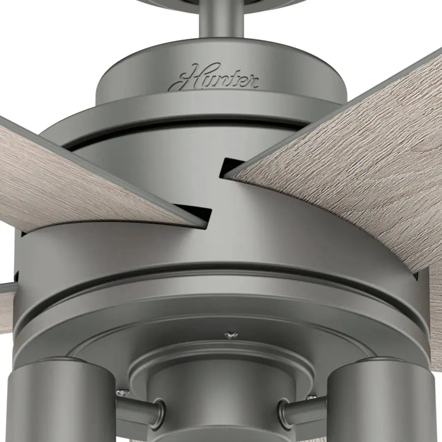 The Ceiling Fans by Hunter - Image 21