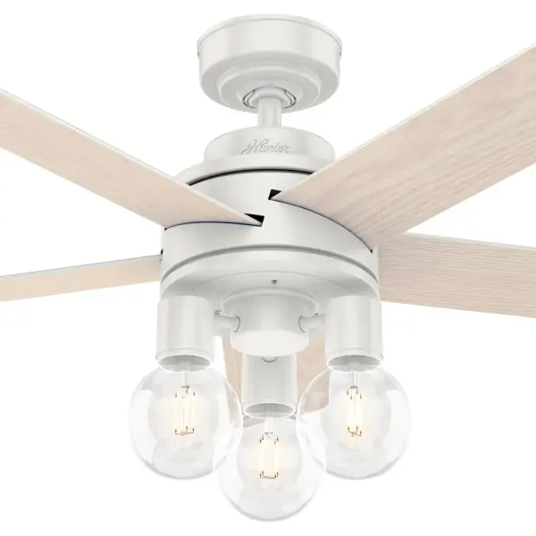 The Ceiling Fans by Hunter - Image 23