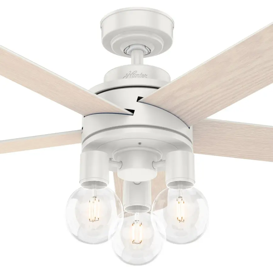 The Ceiling Fans by Hunter - Image 23