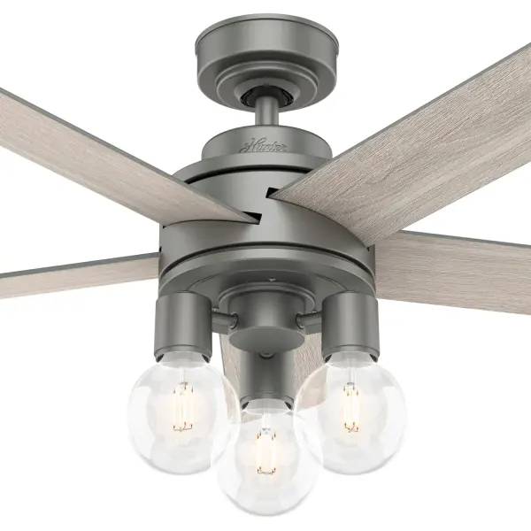 The Ceiling Fans by Hunter - Image 24