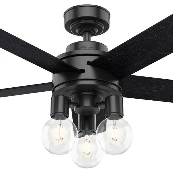 The Ceiling Fans by Hunter - Image 25