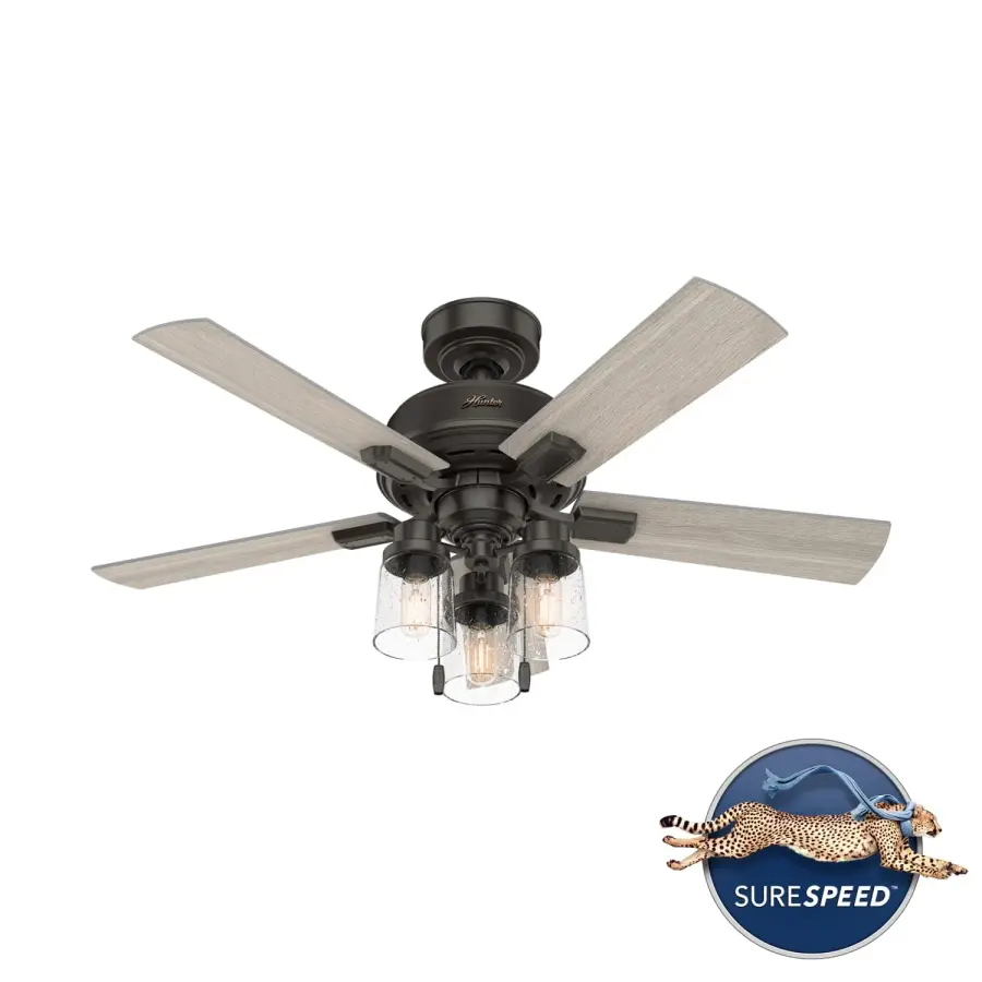 The Ceiling Fans by Hunter - Image 27