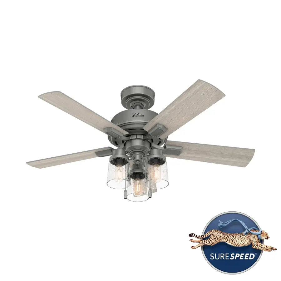 The Ceiling Fans by Hunter - Image 28
