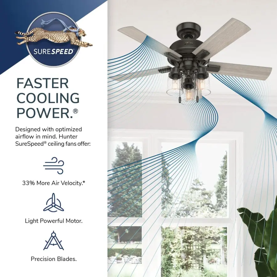 The Ceiling Fans by Hunter - Image 29