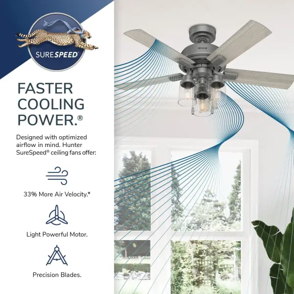 The Ceiling Fans by Hunter - Image 30