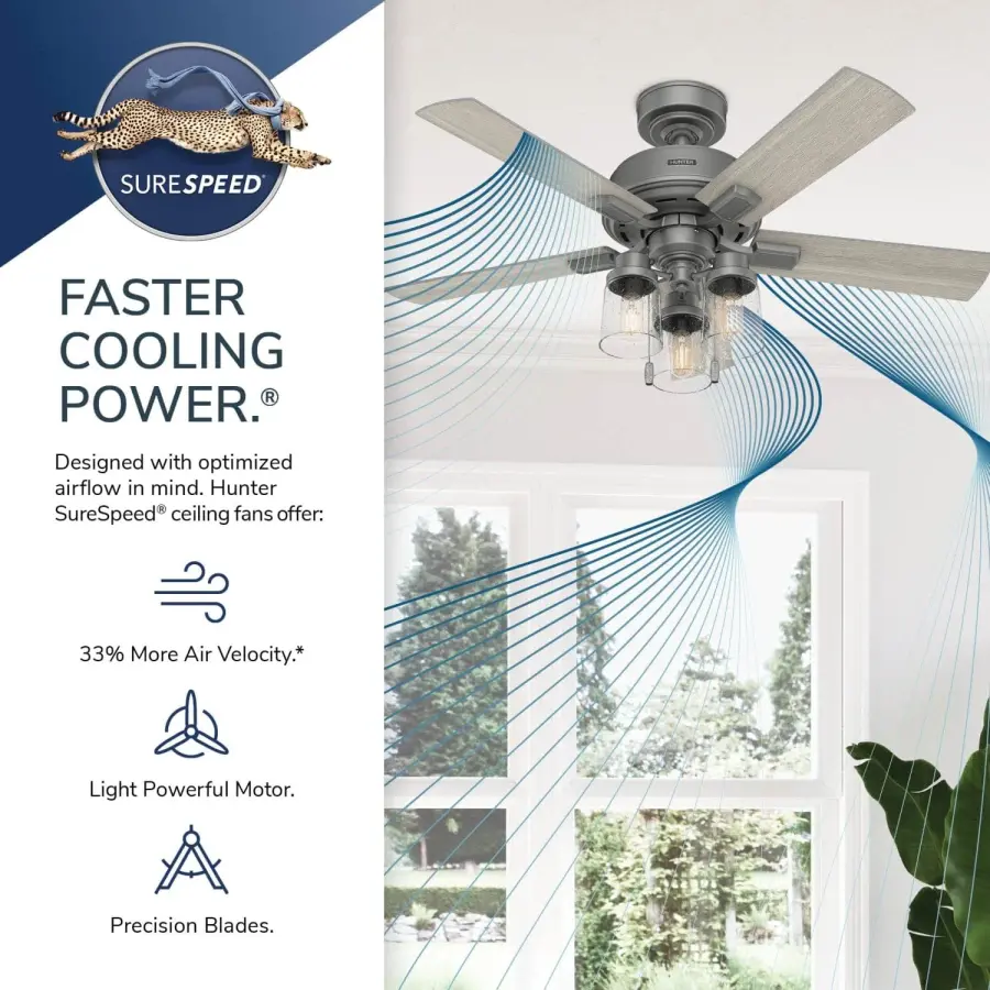 The Ceiling Fans by Hunter - Image 30