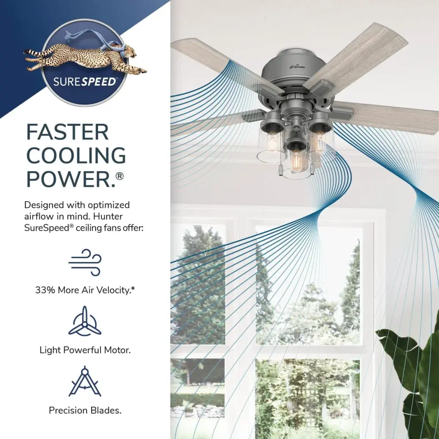 The Ceiling Fans by Hunter - Image 15
