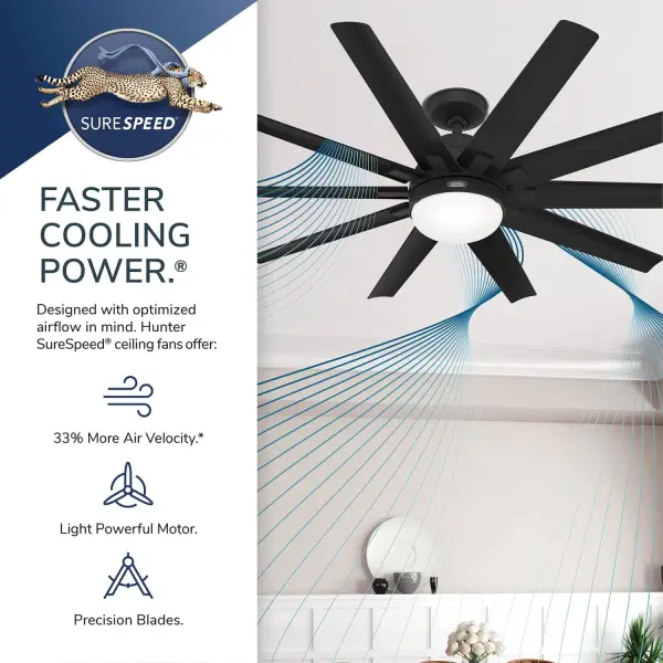 Overton Outdoor ENERGY STAR with LED Light 60 inch - Image 49