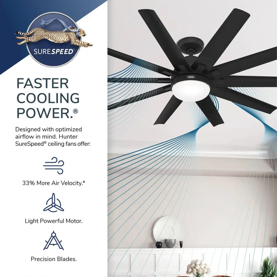 Overton Outdoor ENERGY STAR with LED Light 60 inch - Image 50