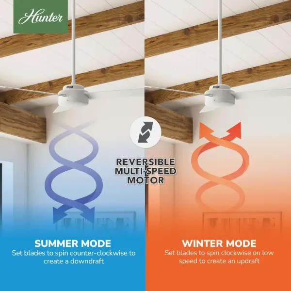 Presto 52 inch - Image 22