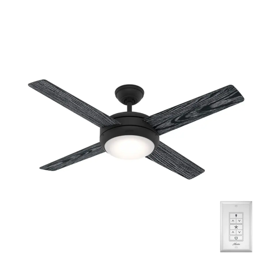 The Ceiling Fans by Hunter - Image 1