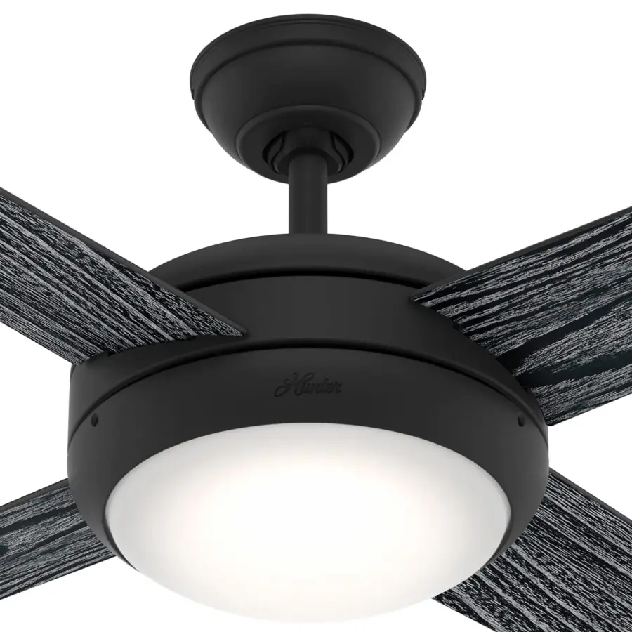 The Ceiling Fans by Hunter - Image 11