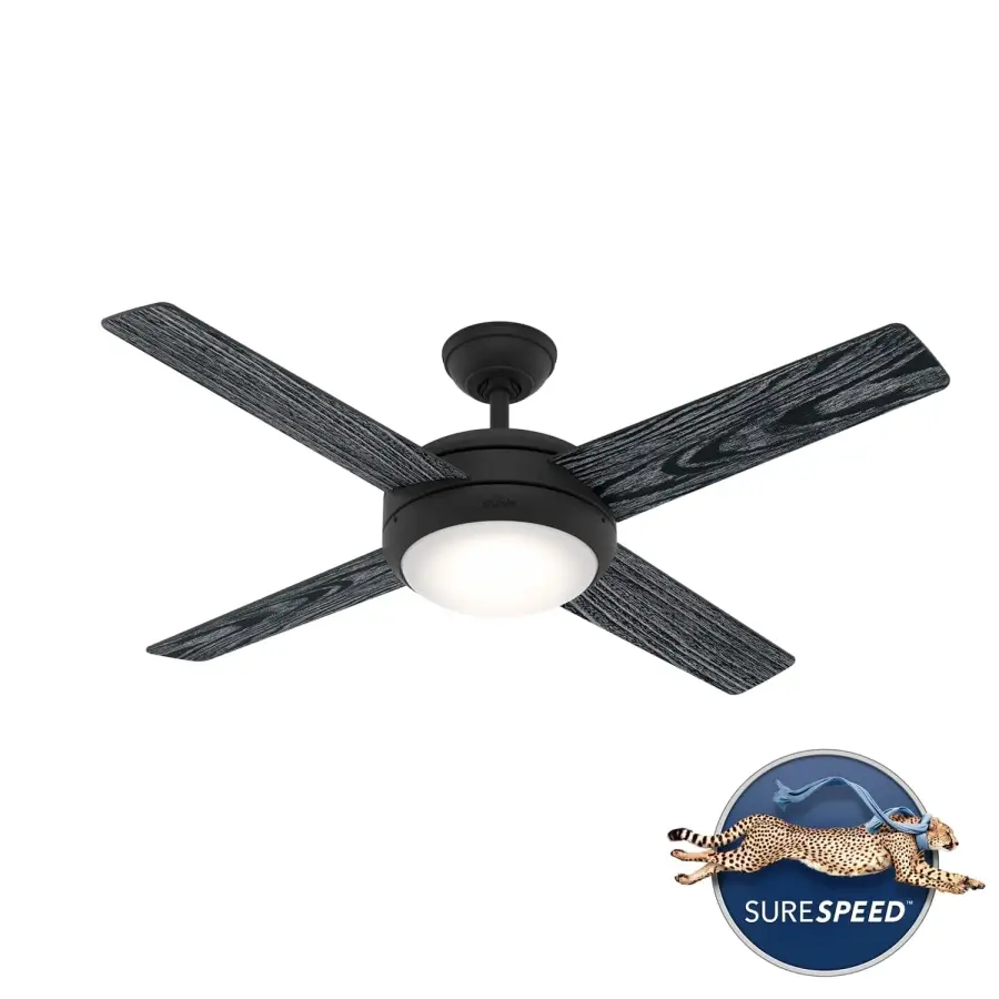 The Ceiling Fans by Hunter - Image 13