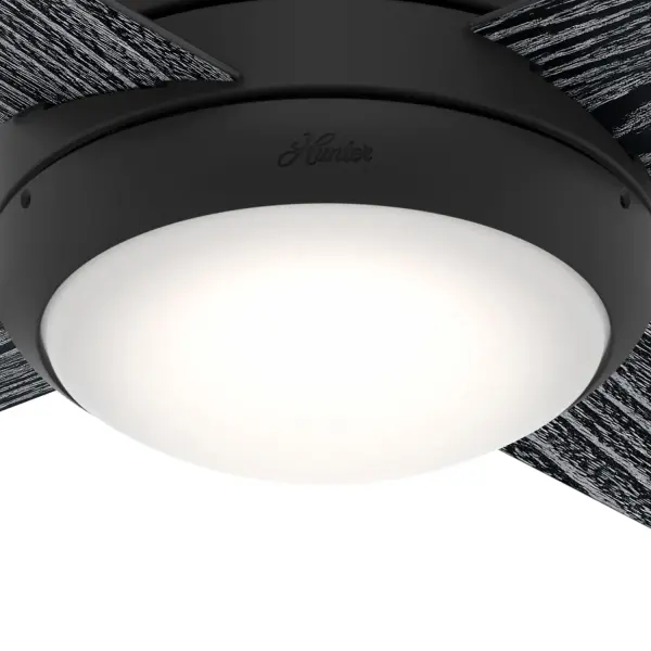 The Ceiling Fans by Hunter - Image 8