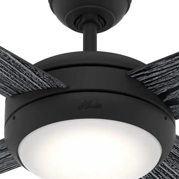 The Ceiling Fans by Hunter - Image 10