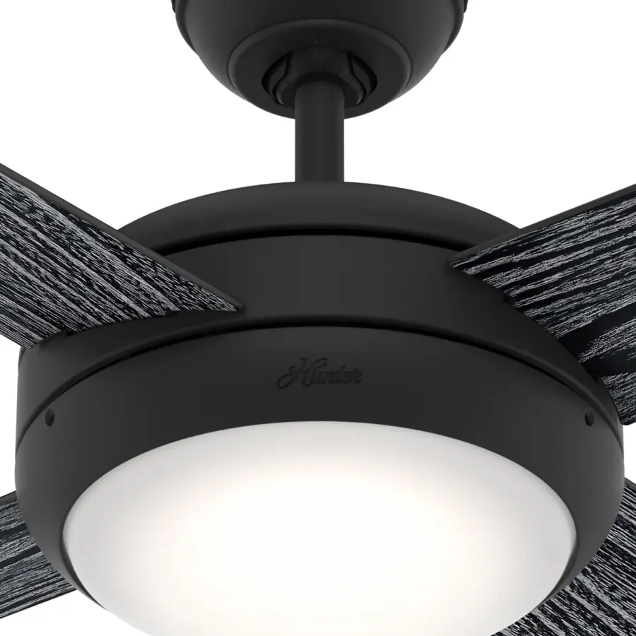 The Ceiling Fans by Hunter - Image 10