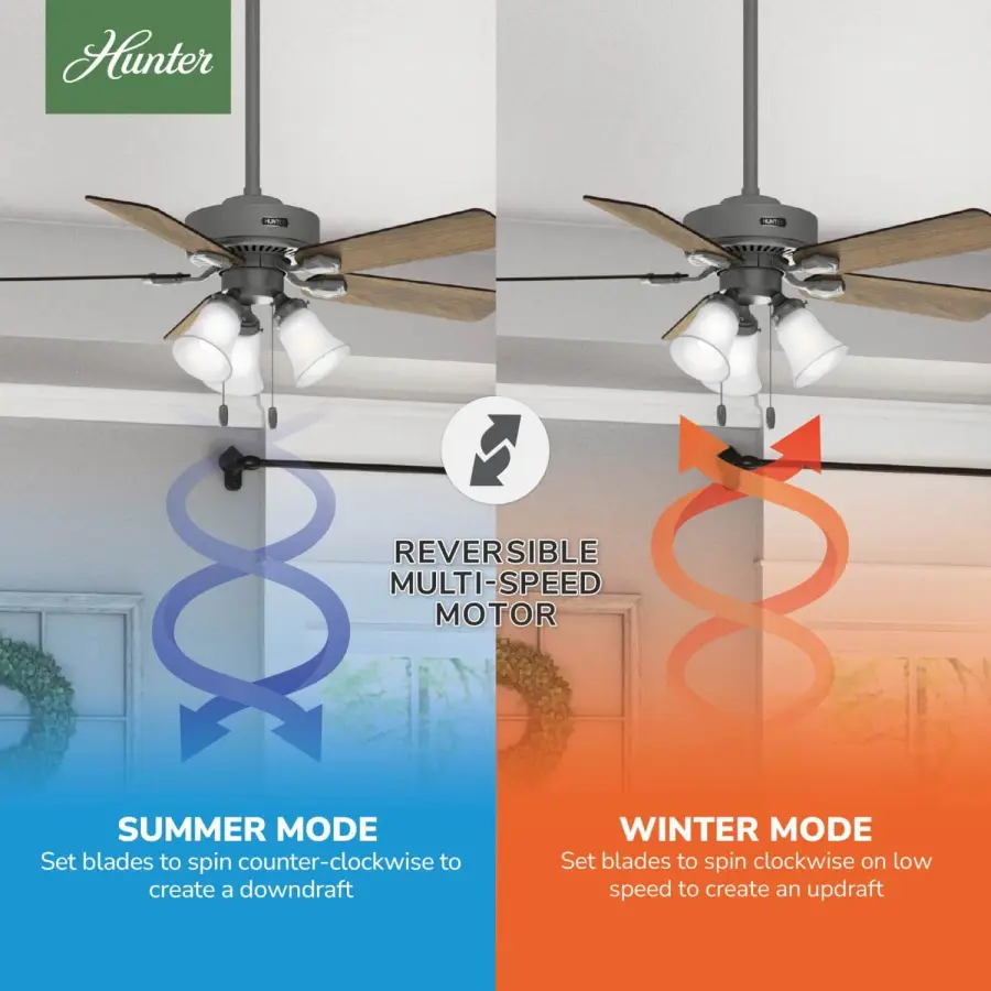 The Ceiling Fans by Hunter - Image 14