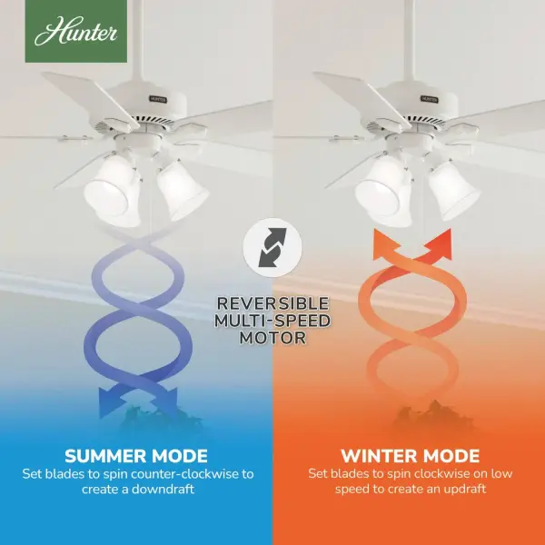 The Ceiling Fans by Hunter - Image 15