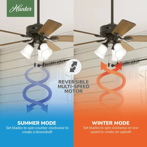 The Ceiling Fans by Hunter - Image 16