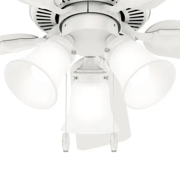 The Ceiling Fans by Hunter - Image 24