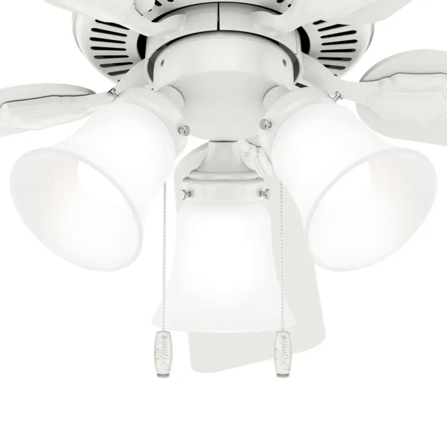 The Ceiling Fans by Hunter - Image 24