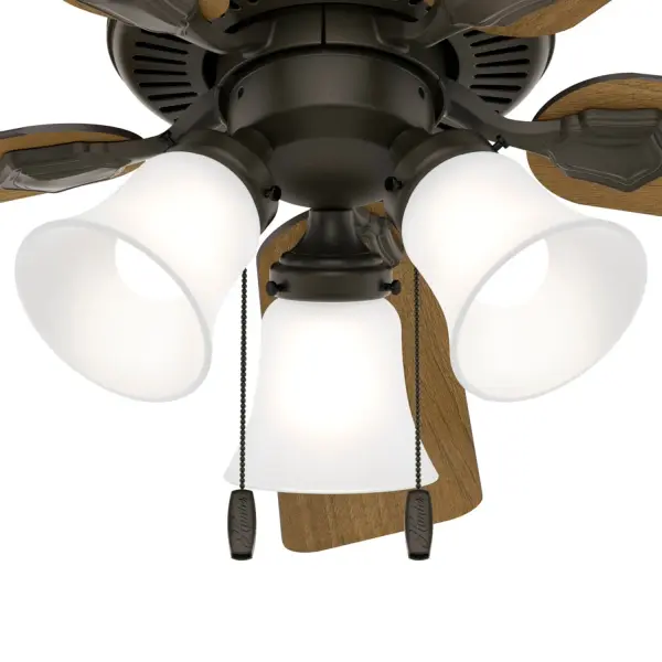 The Ceiling Fans by Hunter - Image 25