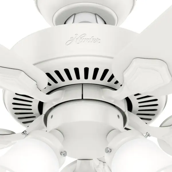 The Ceiling Fans by Hunter - Image 30