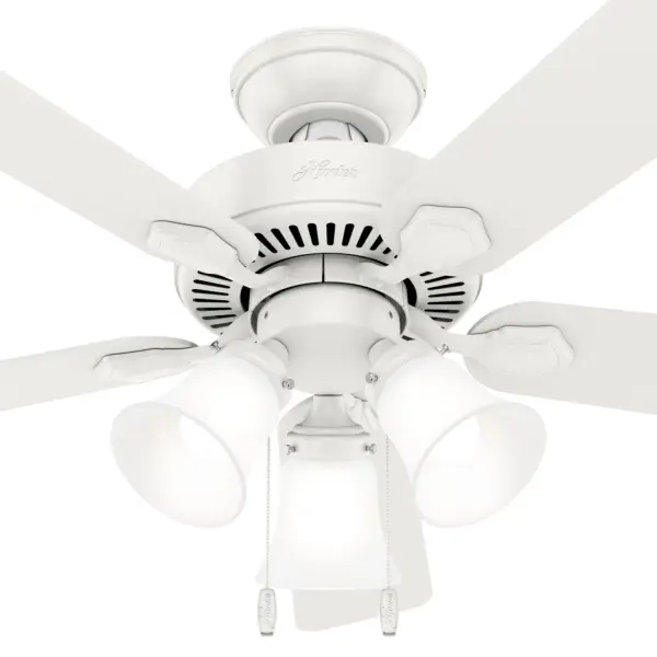 The Ceiling Fans by Hunter - Image 33