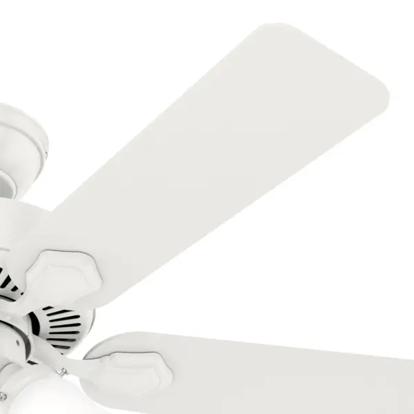 The Ceiling Fans by Hunter - Image 36