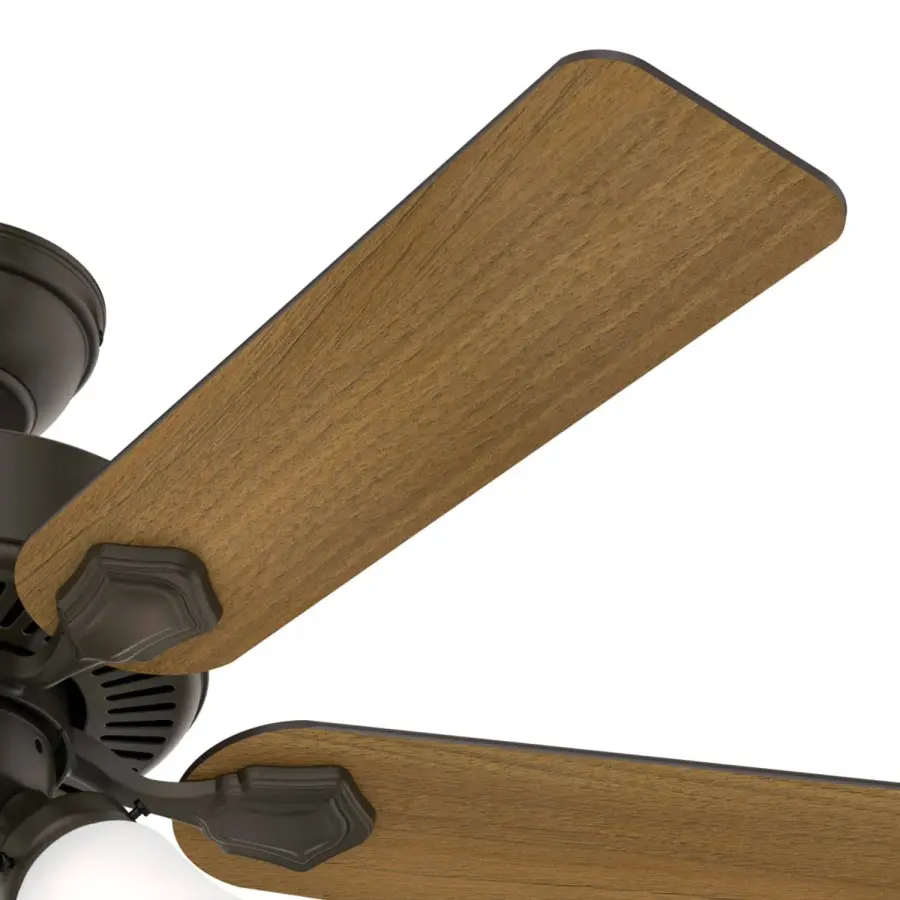 The Ceiling Fans by Hunter - Image 37