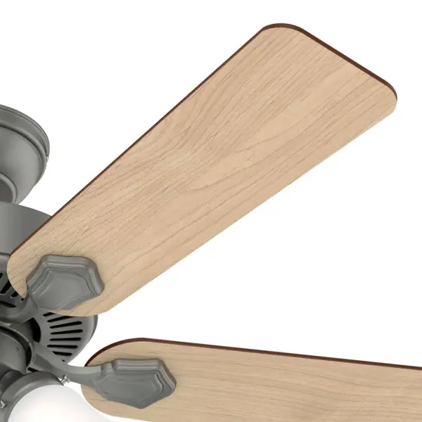 The Ceiling Fans by Hunter - Image 38