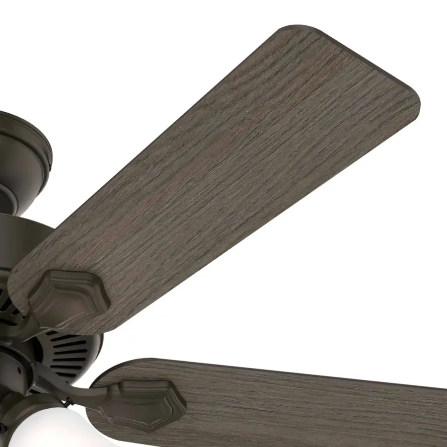 The Ceiling Fans by Hunter - Image 40