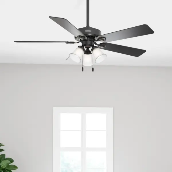 The Ceiling Fans by Hunter - Image 16