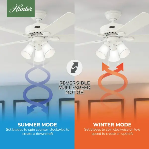 The Ceiling Fans by Hunter - Image 19