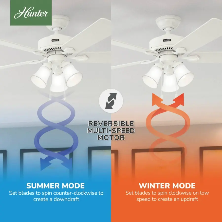The Ceiling Fans by Hunter - Image 19