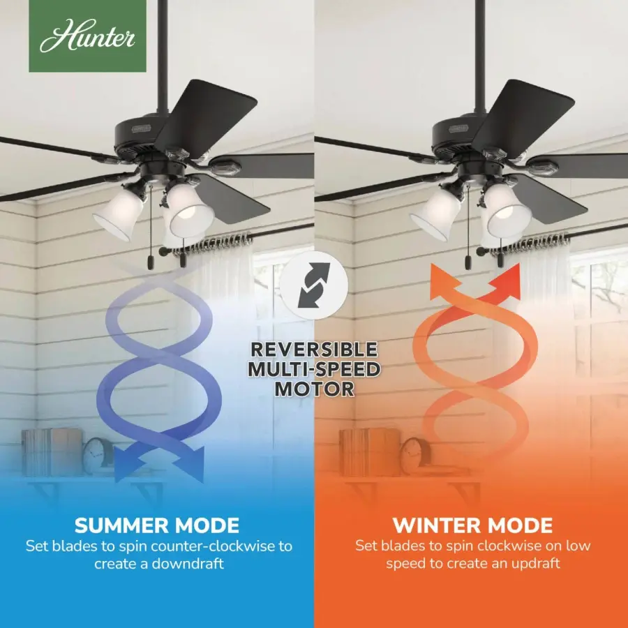 The Ceiling Fans by Hunter - Image 21