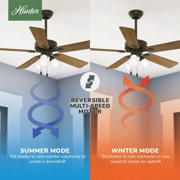 The Ceiling Fans by Hunter - Image 22