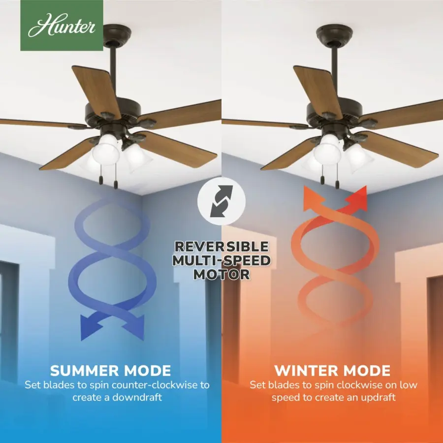 The Ceiling Fans by Hunter - Image 22