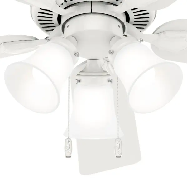 The Ceiling Fans by Hunter - Image 31
