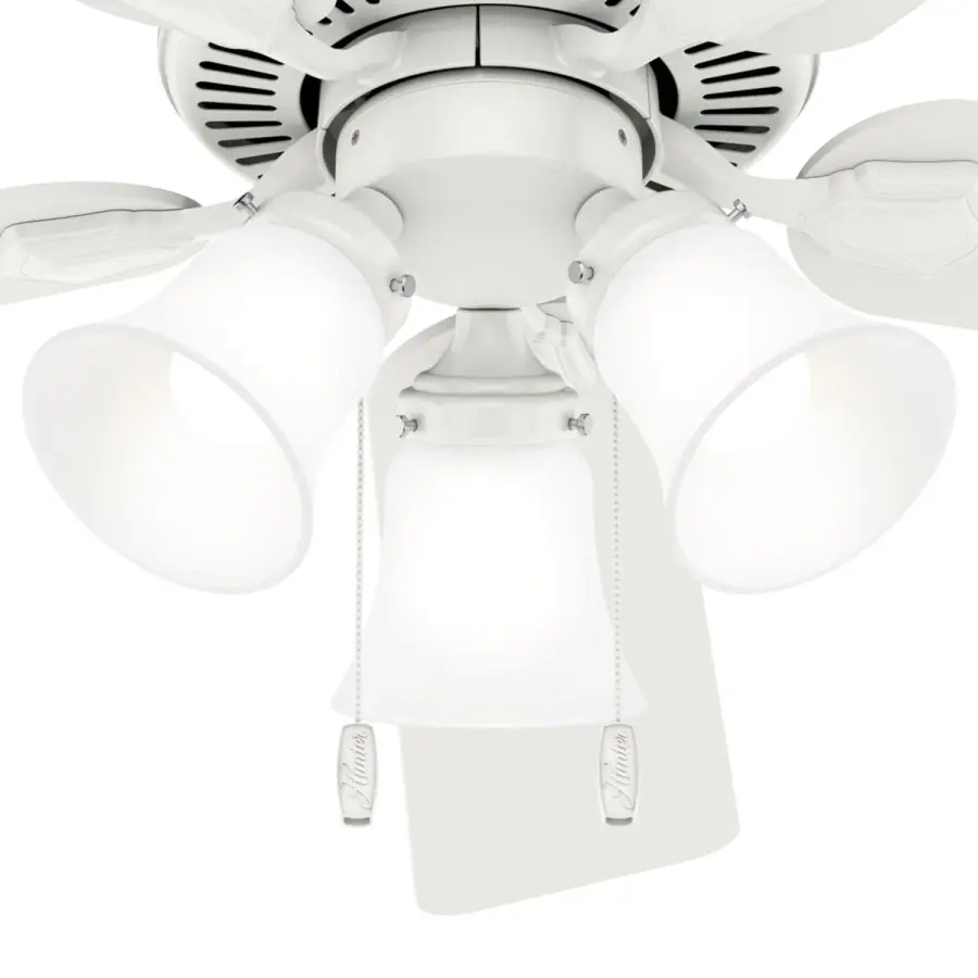 The Ceiling Fans by Hunter - Image 31