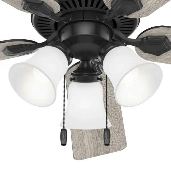 The Ceiling Fans by Hunter - Image 33