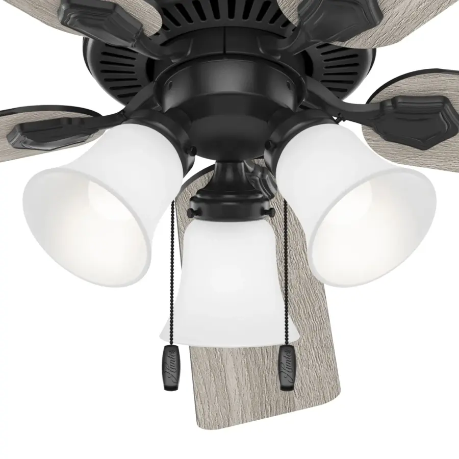 The Ceiling Fans by Hunter - Image 33