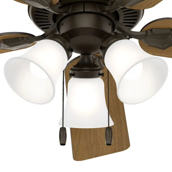 The Ceiling Fans by Hunter - Image 34