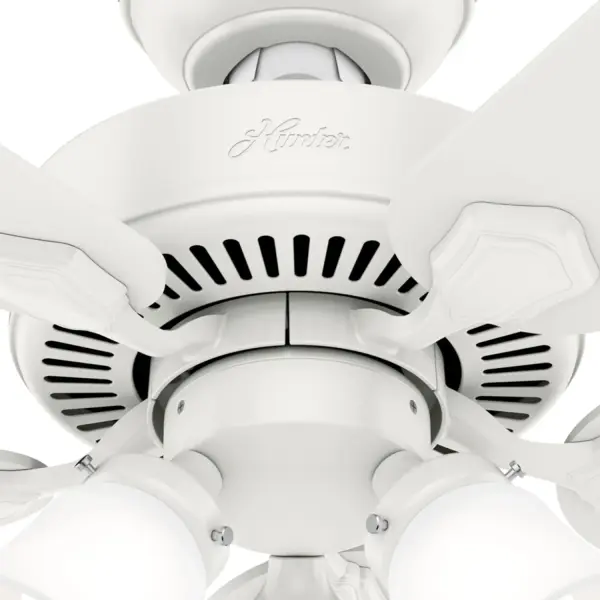 The Ceiling Fans by Hunter - Image 39