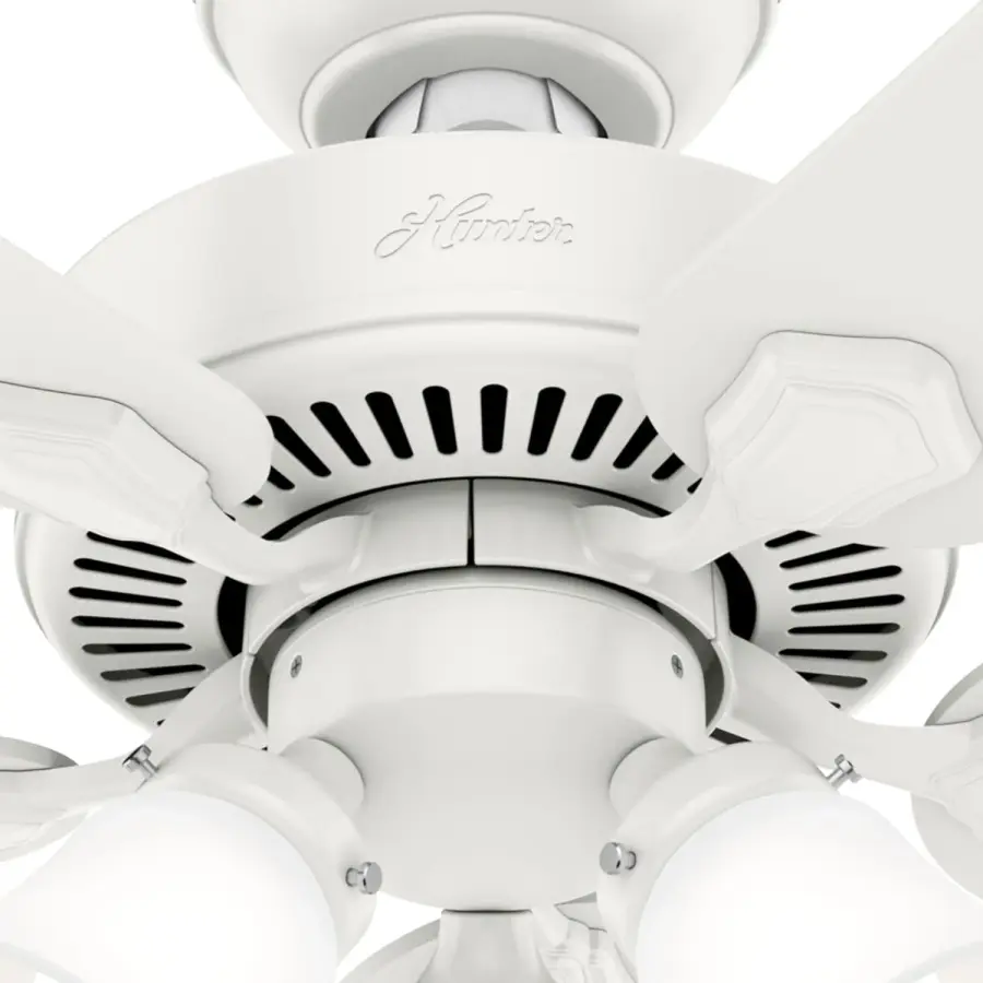The Ceiling Fans by Hunter - Image 39