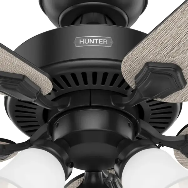 The Ceiling Fans by Hunter - Image 41
